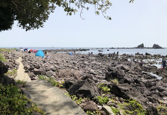 真鶴岬の海岸散歩を楽しめる