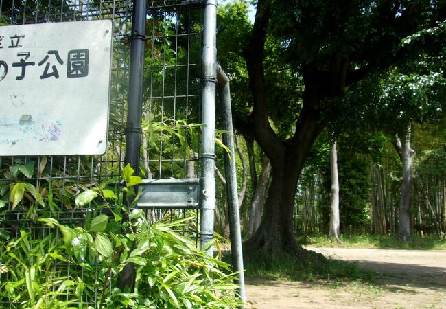 「竹」をテーマにした公園は、全国でも珍しく、竹好きの人はぜひ訪問すべし。