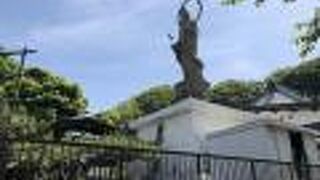 丘の上に大きな大川観音像