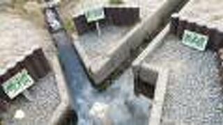 標識も整備されておりおもしろい