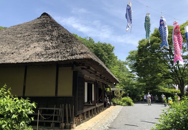 茅葺屋根の古民家