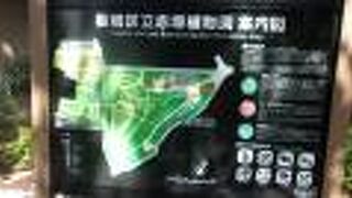 面積は１ha余りで狭いが、隣接する東京大仏、都立赤塚公園（赤塚城跡）などと緑地をつくる