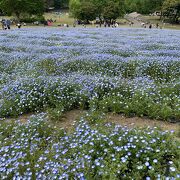 広大な公園