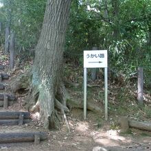 池がある公園部分から本丸跡には直登路や迂回路の山道。