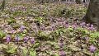 コロナ禍で運営の危機が