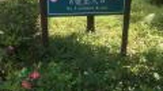 大安森林公園駅