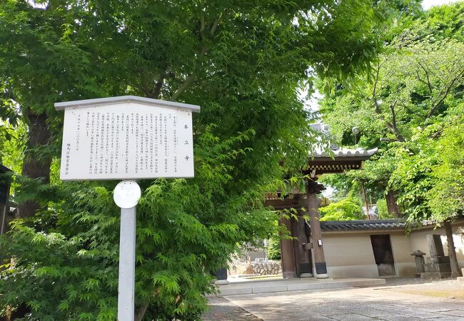 大きなお寺