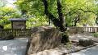 都市部の駅前に、この自然