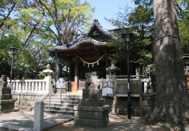 逗子市役所横の神社