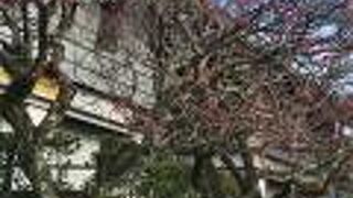 道真公にまつわる宝物　