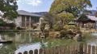 国の天然記念物　