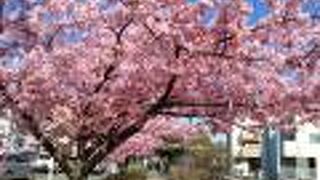 江川せせらぎ遊歩道 