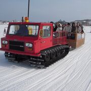 ２月中に「宗谷ふれあい公園スノーランド」が開催され、最北の冬を体験できます。