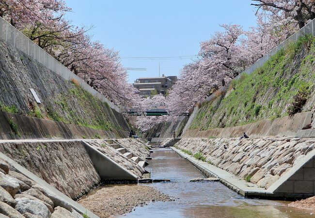 妙法寺川公園