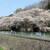 宇治川公園