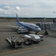 新千歳空港での全日空機材