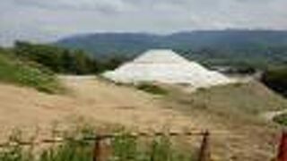 第35代皇極天皇の御陵？