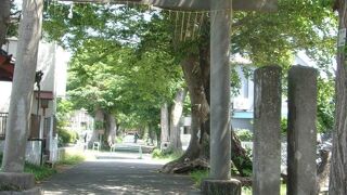 南に立派な長い参道があり、長さだけ見ても、繁栄時の勢力が偲ばれる。