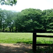 メインは都立公園の赤塚城址と、板橋区立溜池公園、美術館・郷土資料館・池などが並ぶエリア