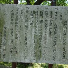 こども専用の釣り池はよくあるが、ここは大人も釣りができる。