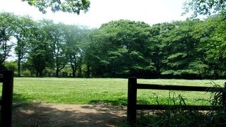 メインは都立公園の赤塚城址と、板橋区立溜池公園、美術館・郷土資料館・池などが並ぶエリア