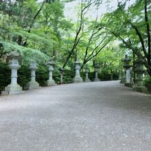 緑が鮮やかできれいだ。