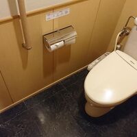 普通のウォシャブルトイレ