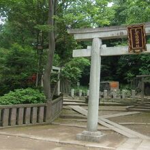 広い境内の一角にある乙女稲荷神社がおまけ以上に見ごたえあり