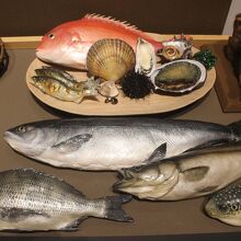 縄文時代の食べ物　魚介類