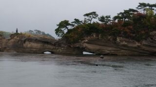 コロナで大打撃。