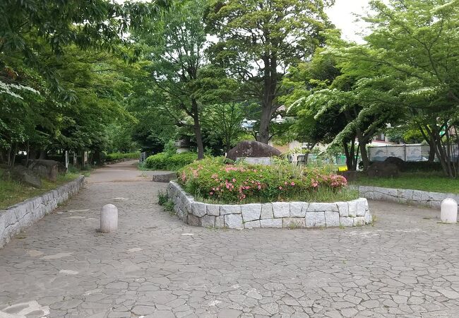 市川の公園 植物園 クチコミ人気ランキングtop15 フォートラベル 千葉県 市川の公園 植物園 クチコミ人気ランキングtop15 フォートラベル 千葉県