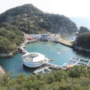 水族館の海水プールで泳ぐイルカを俯瞰／お茶ヶ崎展望