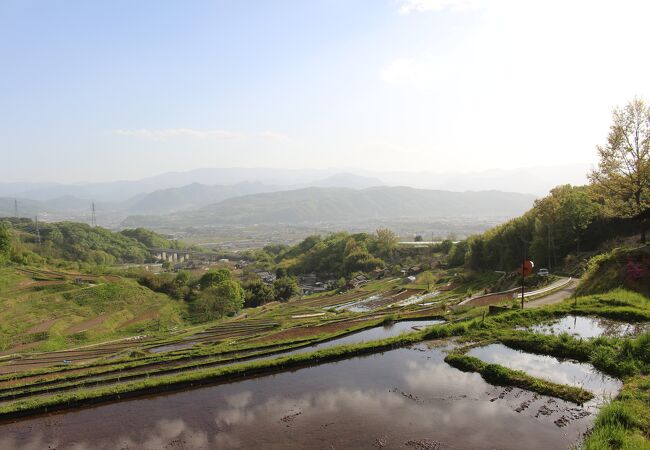 水が入っている田は半分ほどでしたが、雰囲気はよかったです。