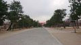 広々とした公園