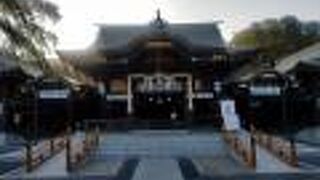 参道の大きな灯籠が幻想的