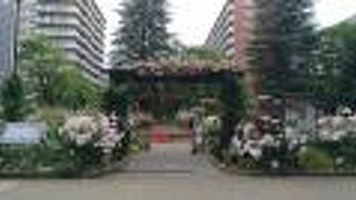 リニューアルオープン