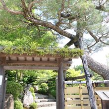 素晴らしい日本庭園