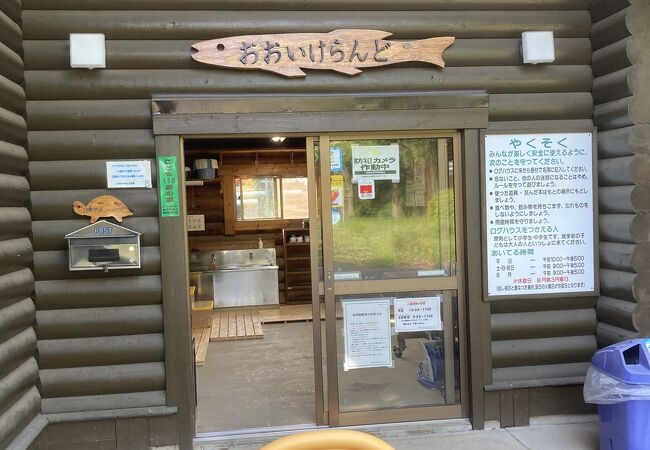 上白根大池公園 おおいけらんど クチコミ アクセス 営業時間 戸塚 いずみ野 港南台 フォートラベル 上白根大池公園 おおいけらんど クチコミ アクセス 営業時間 戸塚 いずみ野 港南台 フォートラベル
