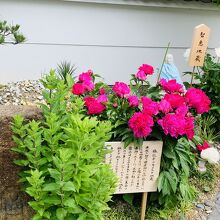 知恵地蔵 と キリスト地蔵