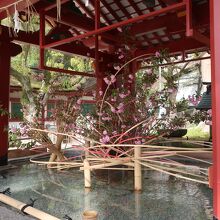 中央にはキレイな花が飾られています