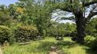 遊歩道や休憩所がある散歩道