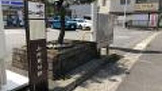 道の両側に、石に囲まれた木が植えられている