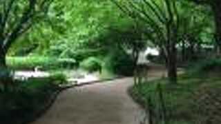 鬱蒼としている