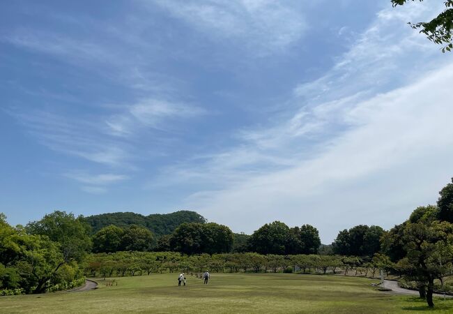 桐生市南公園