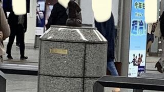 何度見ても小さい