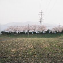 姉川古戦場、遠景。