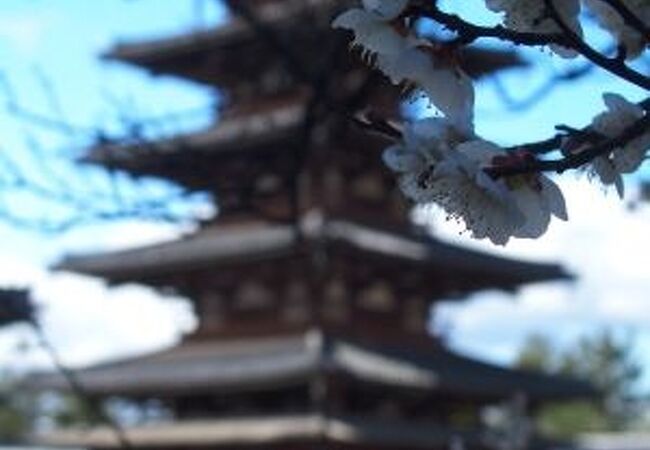 奈良県の寺 神社 クチコミ人気ランキングtop40 フォートラベル 奈良県の寺 神社 クチコミ人気ランキングtop40 フォートラベル