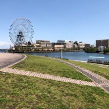 パークの芝生広場