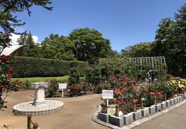 平塚 大磯の公園 植物園 クチコミ人気ランキングtop10 フォートラベル 神奈川県