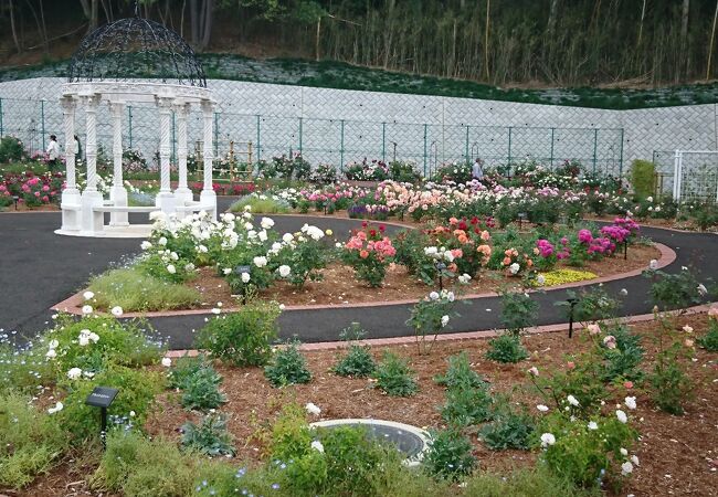 野津田公園 クチコミ アクセス 営業時間 町田 フォートラベル